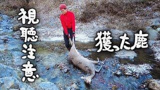 #2-A 【️視聴注意】仕留めた鹿・鹿肉の一時保存