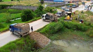 Wonderful Project Landfill By Operator Skill D51px Dozer Pushing Stone 5Ton Truck Unloading Stone