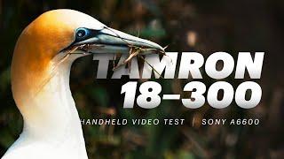 Tamron 18-300mm + Sony a6600  Handheld video test