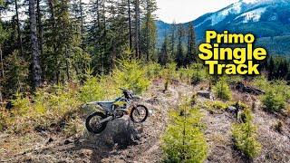 From Devastating Clearcut to Primo Single Track