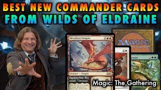 Best New Commander Cards From Wilds OF Eldraine  Magic The Gathering
