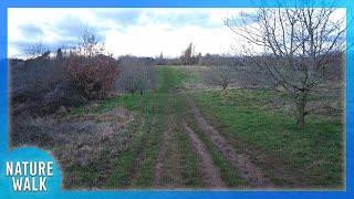 The blue skies and clouds gently float by on a muddy trail Nature Visualizer