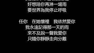 許茹芸 - 我依然愛你歌詞版