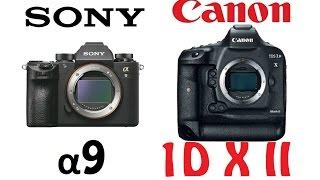 Sony Alpha α9 vs Canon EOS-1D X Mark II