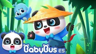 Superhéroe Bebé Panda  Dibujos Animados  Videos para Niños  BabyBus en Español