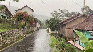 Heavy Rain Wets Village Life in the Mountains  Rain Walk  Rain Sounds for Better Sleep