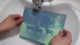 Use the sun to print your pictures Cyanotype