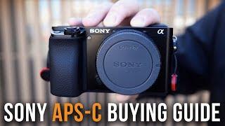 Sony APS-C ULTIMATE Buying Guide 2019  a6000 a6100 a6400 a6500 a6600 a5100 TIMECODES