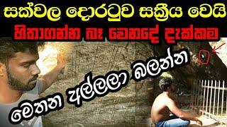 විශ්වයෙන් ආ ආලෝක සංඥාවක් ranmasu uyana sri lanka vlogs #kundalini #rawana #holman