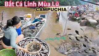 Mùa nước lũ 2024 qua Campuchia xem người dân đổ xô đi bắt cá linh mùa lũ