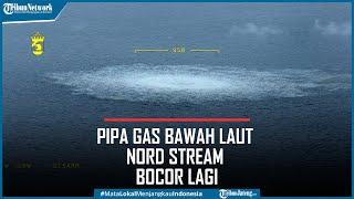 Pipa Gas Bawah Laut Nord Stream Bocor lagi Total Ada 4 Titik