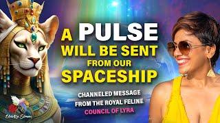 Galactic Message from LYRA - This August LIONS GATE Everything is about to Shift 