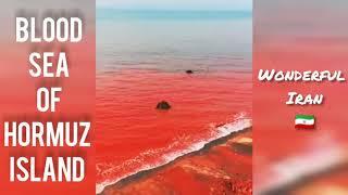 Water Turns Blood Sea of Hormuz Island in South of Iran