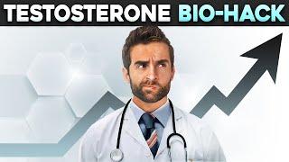 Top 8 Foods that Drastically Increase Testosterone Naturally Study-backed Results