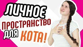 Личное пространство для кота Оборудуем место для домашнего животного Как сделать домик для собаки