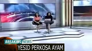 Lagi viral.... Ayam di perkosa