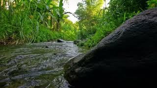 Flowing Water Sound Therapy Relieve Stress and Peace of Mind ASMR relax study meditation