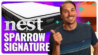 Nest Bedding Sparrow Mattress Review  Reasons To BuyNOT Buy