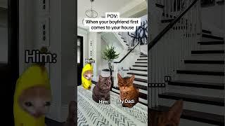 CAT MEMES When your boyfriend first comes to your house #catmemes #relatable #relationship