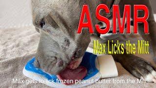 Max Licks Peanut Butter from a Mitt  ASMR DOG LICKING  NO TALKING