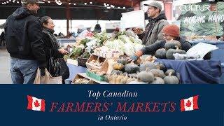 Discover Top 3 Canadian Farmers Markets in Ontario