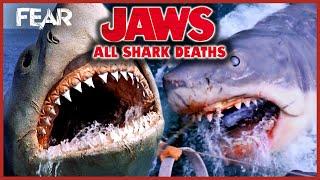Every Shark Death From The Jaws Movies  Fear