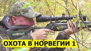 Охота в Норвегии без цензуры 1 NORDIC WILD HUNTER Охотник и рыболов