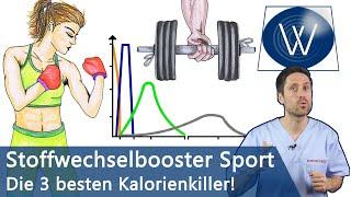 Fettverbrennung extrem Diese 3 Sportarten HIIT Ausdauer Krafttraining verbrennen Ihr Fett