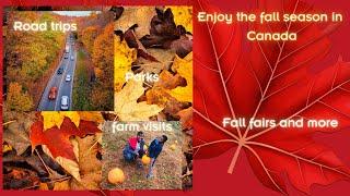 5 Fun Activities To Enjoy The Most Colourful Season Of The Year in Canada