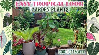Easy Tropical Look Garden Plants - HardyEasy Over-Wintering 