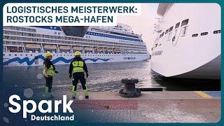 Hafenriese Rostock Die Organisation von tausenden Schiffen  Spark Deutschland