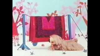 The Magic Roundabout - E11 - Magic Carpet