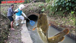 IPlIN MEMANCING IKAN LELE TERBESAR DI DUNIA?