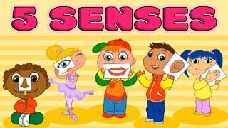 Five Senses Taste Smell Sight Hearing Touch - Quiz for Kids