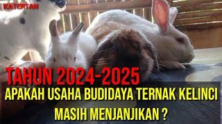 PROSPEK USAHA BUDIDAYA TERNAK KELINCI DI TAHUN INI 2024-2025