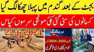 budget 2024-25wheat price today in Pakistanwheat price today in punjab2024 Makki ka rate