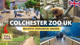 COLCHESTER ZOO Walking Tour - England One of the BEST Zoos to Visit in the UK  4K