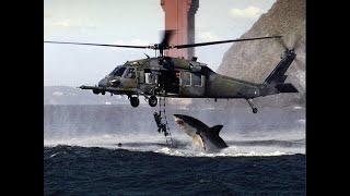 Real or Fake Shark Attacks Helicopter