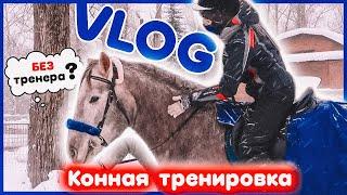 КОННАЯ тренировка БЕЗ ТРЕНЕРА  Примеряю обновки  VLOG в конюшне