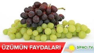 Üzümün Faydaları Nelerdir?