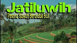 Pesona Jatiluwih Sawah Terasering Di Tabanan Bali