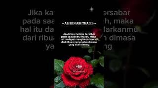 Ali Bin Abi Thalib  #video #quotes #shorts