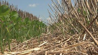 No Till Agriculture Documentary