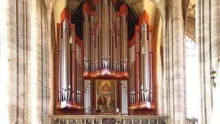 Großer Gott wir loben Dich Rieger-Orgel Münster St.Georg Dinkelsbühl