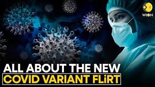 Should you be concerned about the new COVID-19 variant FLiRT?  WION Originals