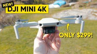 DJI’s Cheapest 4K Drone - DJI Mini 4K Just Cheap or Worth Buying? HONEST REVIEW