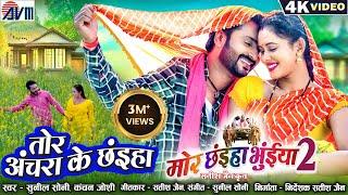 Mor Chhaiya Bhuiya 2  Cg Movie Song  Tor Achara Ke Chhaiya  Chhattisgarhi Gana  Man Diksha  AVM