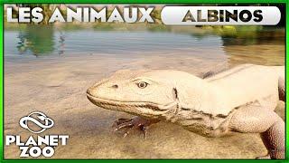 Comment Favoriser lapparition danimaux ALBINOS ?  PLANET ZOO Franchise