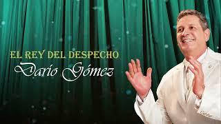 Darío Gómez - Hombre Humillado Official Audio