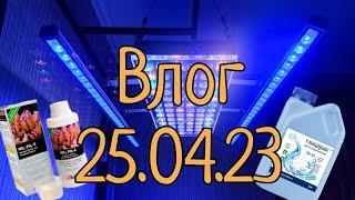 Влог 25.04.23